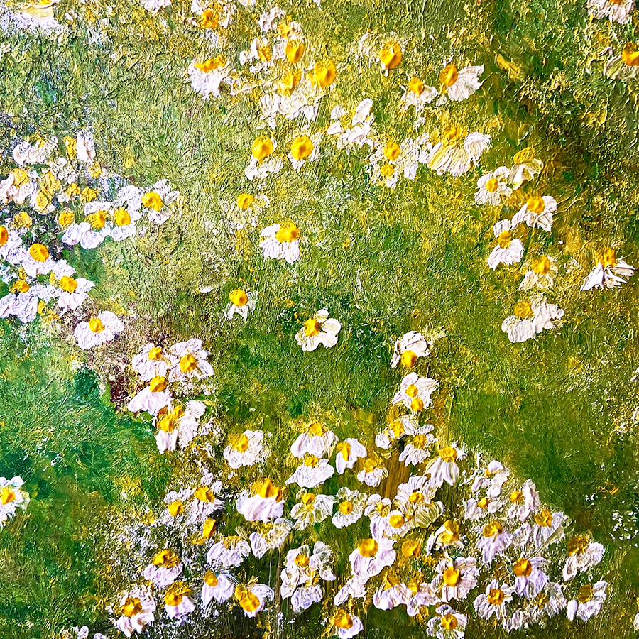 Daisy Meadow